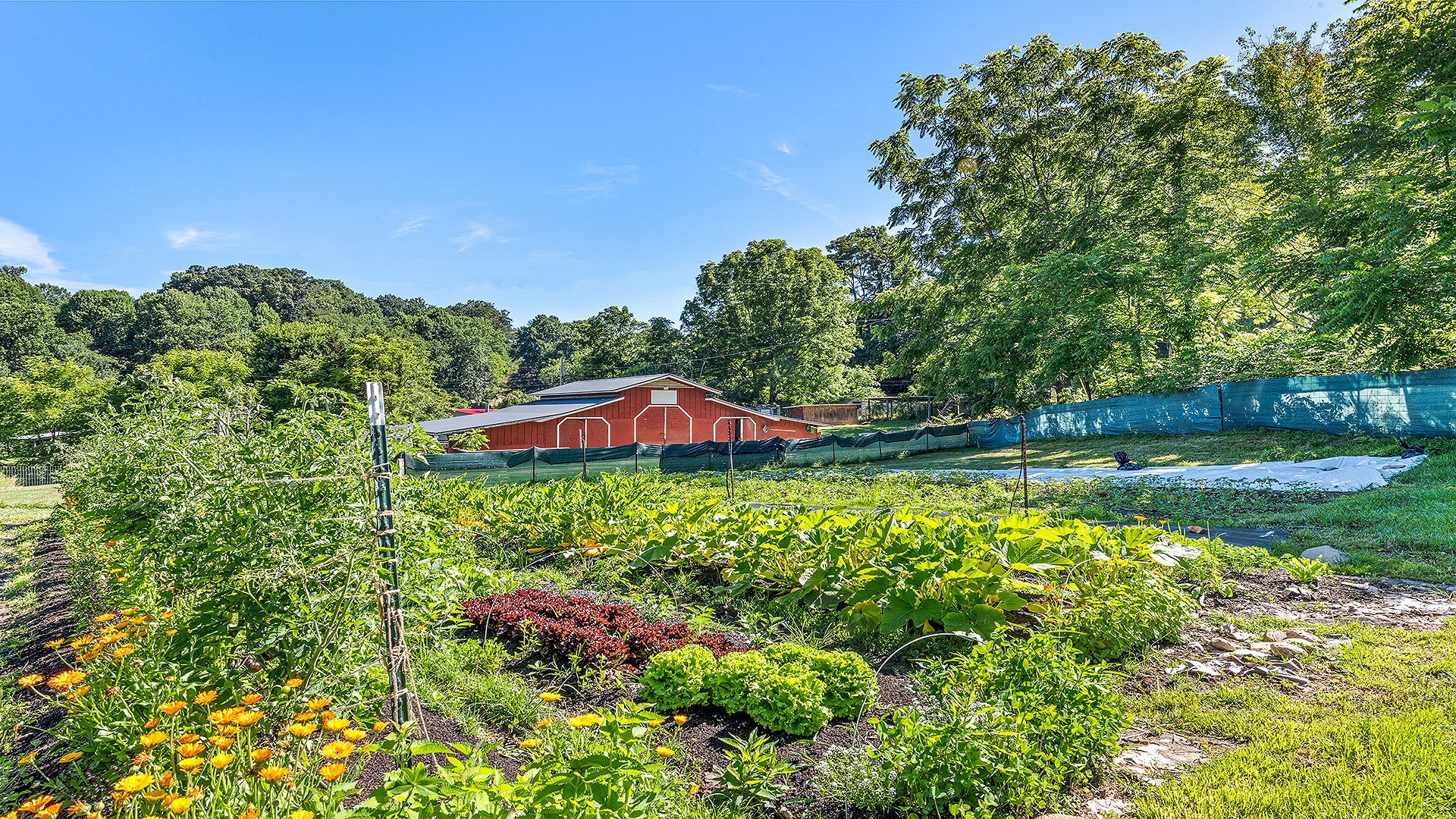 A historic view of the land at Heath Retreat Farm